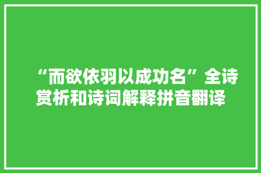 “而欲依羽以成功名”全诗赏析和诗词解释拼音翻译