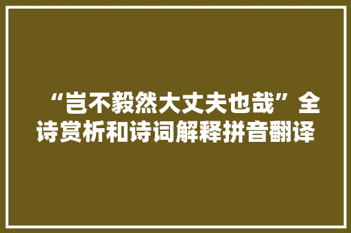 “岂不毅然大丈夫也哉”全诗赏析和诗词解释拼音翻译