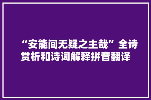 “安能间无疑之主哉”全诗赏析和诗词解释拼音翻译