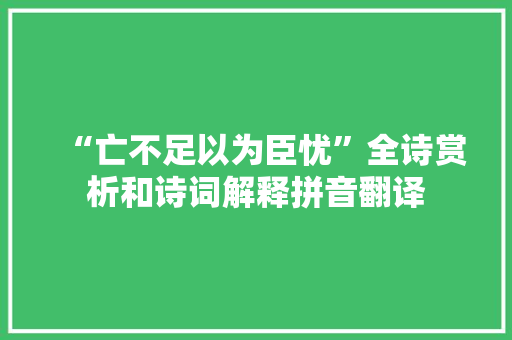“亡不足以为臣忧”全诗赏析和诗词解释拼音翻译
