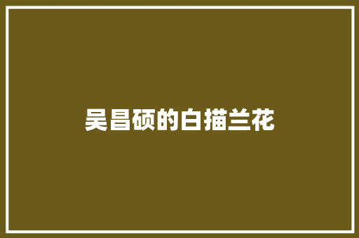 吴昌硕的白描兰花