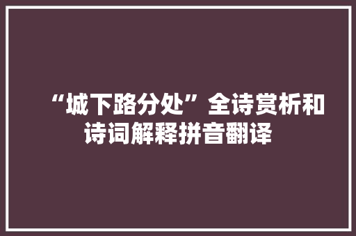 “城下路分处”全诗赏析和诗词解释拼音翻译
