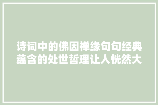 诗词中的佛因禅缘句句经典蕴含的处世哲理让人恍然大年夜悟