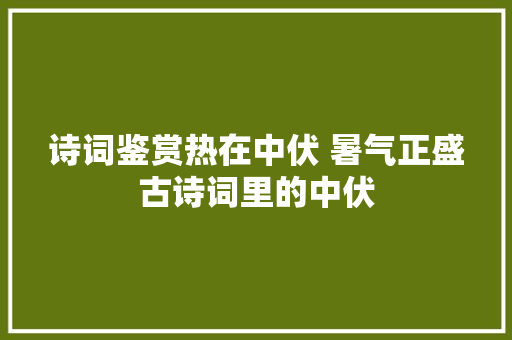 诗词鉴赏热在中伏 暑气正盛古诗词里的中伏