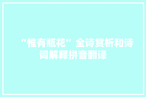 “惟有瓶花”全诗赏析和诗词解释拼音翻译