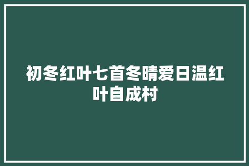 初冬红叶七首冬晴爱日温红叶自成村