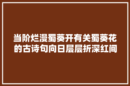 当阶烂漫蜀葵开有关蜀葵花的古诗句向日层层折深红间浅红
