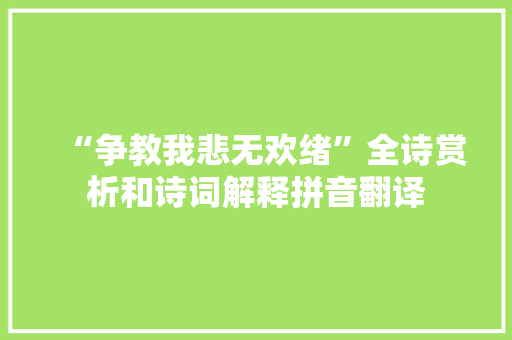 “争教我悲无欢绪”全诗赏析和诗词解释拼音翻译