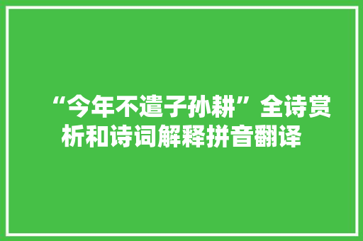 “今年不遣子孙耕”全诗赏析和诗词解释拼音翻译