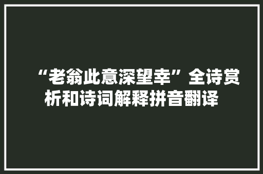 “老翁此意深望幸”全诗赏析和诗词解释拼音翻译