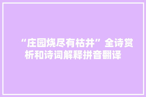 “庄园烧尽有枯井”全诗赏析和诗词解释拼音翻译