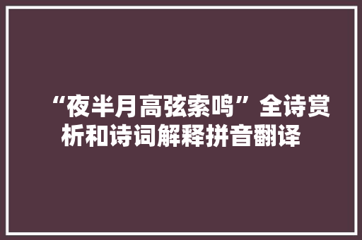 “夜半月高弦索鸣”全诗赏析和诗词解释拼音翻译