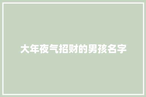 大年夜气招财的男孩名字