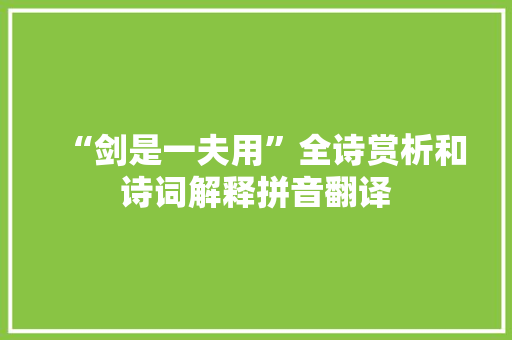“剑是一夫用”全诗赏析和诗词解释拼音翻译