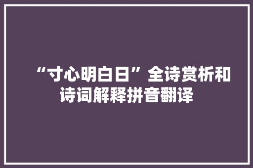 “寸心明白日”全诗赏析和诗词解释拼音翻译