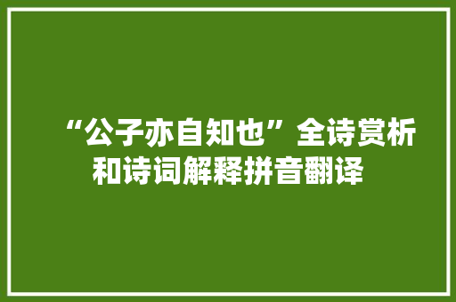 “公子亦自知也”全诗赏析和诗词解释拼音翻译