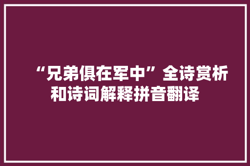 “兄弟俱在军中”全诗赏析和诗词解释拼音翻译