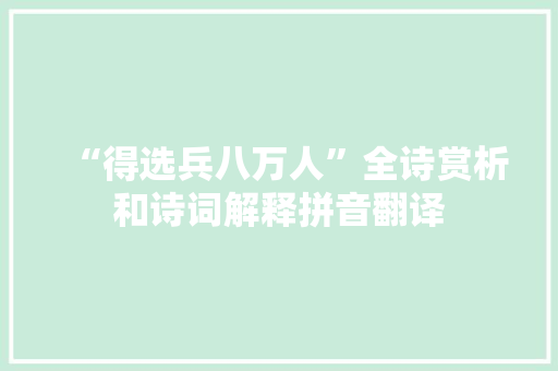 “得选兵八万人”全诗赏析和诗词解释拼音翻译