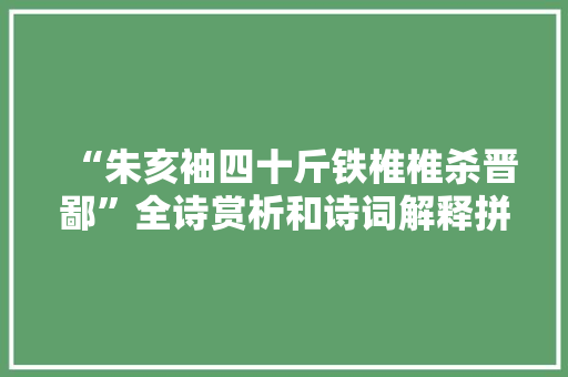 “朱亥袖四十斤铁椎椎杀晋鄙”全诗赏析和诗词解释拼音翻译