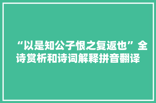 “以是知公子恨之复返也”全诗赏析和诗词解释拼音翻译