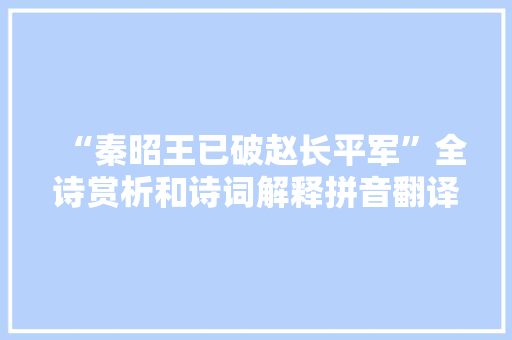 “秦昭王已破赵长平军”全诗赏析和诗词解释拼音翻译