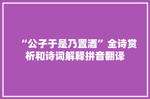 “公子于是乃置酒”全诗赏析和诗词解释拼音翻译