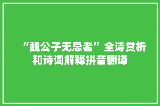 “魏公子无忌者”全诗赏析和诗词解释拼音翻译