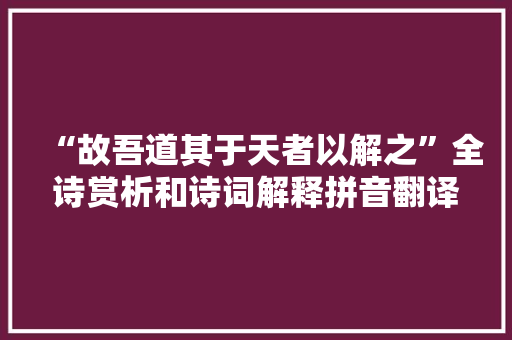 “故吾道其于天者以解之”全诗赏析和诗词解释拼音翻译