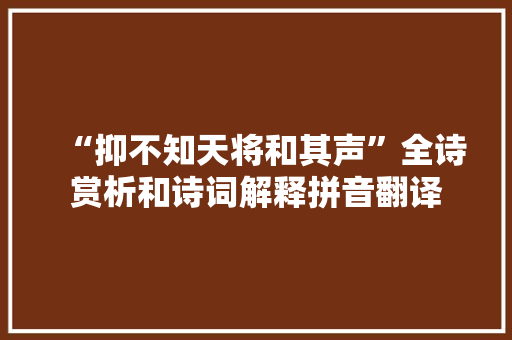 “抑不知天将和其声”全诗赏析和诗词解释拼音翻译