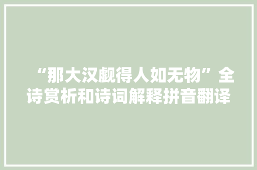 “那大汉觑得人如无物”全诗赏析和诗词解释拼音翻译