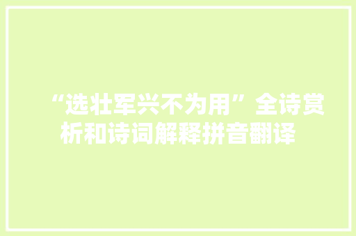 “选壮军兴不为用”全诗赏析和诗词解释拼音翻译