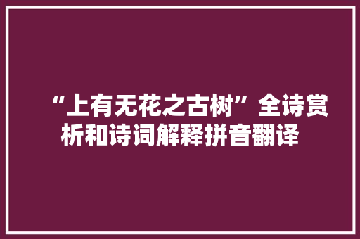 “上有无花之古树”全诗赏析和诗词解释拼音翻译