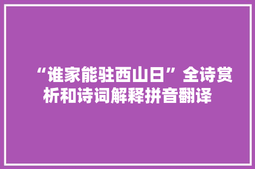 “谁家能驻西山日”全诗赏析和诗词解释拼音翻译