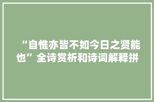 “自惟亦皆不如今日之贤能也”全诗赏析和诗词解释拼音翻译