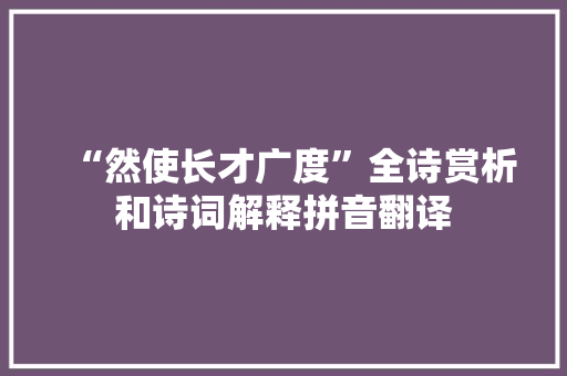 “然使长才广度”全诗赏析和诗词解释拼音翻译