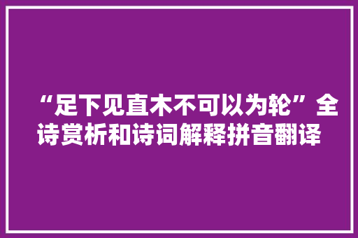 “足下见直木不可以为轮”全诗赏析和诗词解释拼音翻译