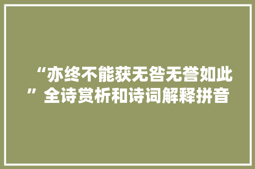 “亦终不能获无咎无誉如此”全诗赏析和诗词解释拼音翻译