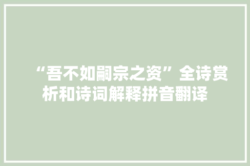 “吾不如嗣宗之资”全诗赏析和诗词解释拼音翻译