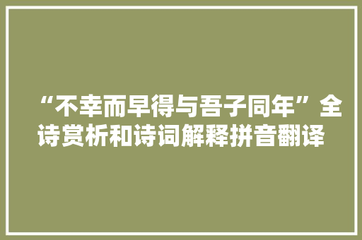 “不幸而早得与吾子同年”全诗赏析和诗词解释拼音翻译