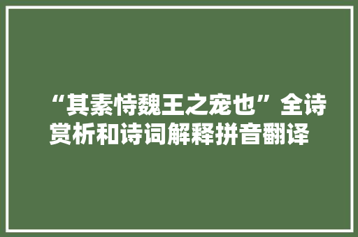“其素恃魏王之宠也”全诗赏析和诗词解释拼音翻译