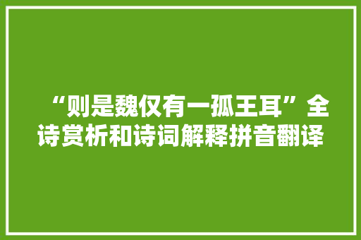 “则是魏仅有一孤王耳”全诗赏析和诗词解释拼音翻译
