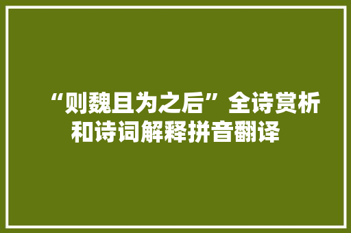 “则魏且为之后”全诗赏析和诗词解释拼音翻译