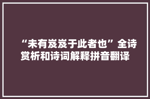 “未有岌岌于此者也”全诗赏析和诗词解释拼音翻译