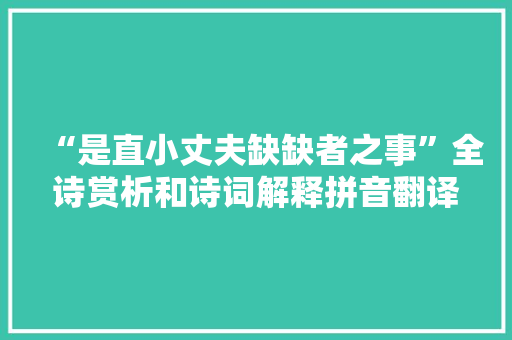 “是直小丈夫缺缺者之事”全诗赏析和诗词解释拼音翻译