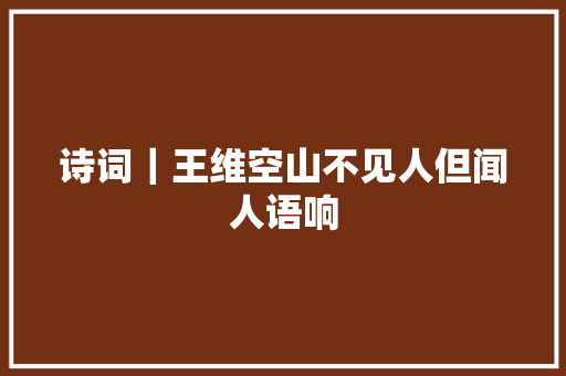 诗词｜王维空山不见人但闻人语响