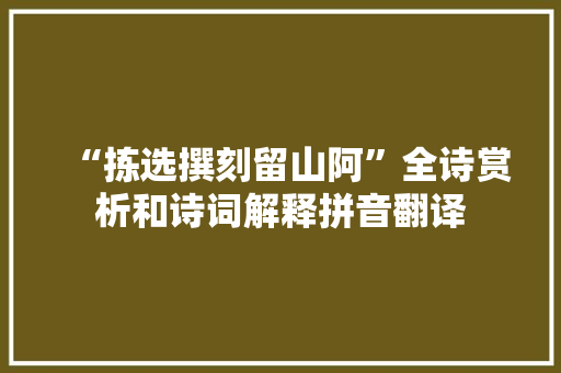 “拣选撰刻留山阿”全诗赏析和诗词解释拼音翻译