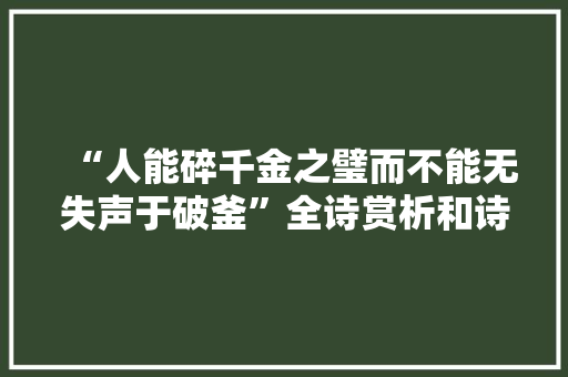 “人能碎千金之璧而不能无失声于破釜”全诗赏析和诗词解释拼音翻译