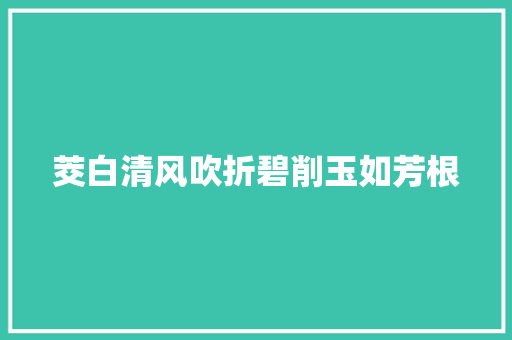 茭白清风吹折碧削玉如芳根