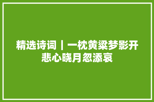 精选诗词｜一枕黄粱梦影开悲心晓月忽添哀