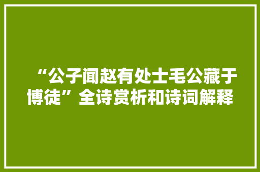 “公子闻赵有处士毛公藏于博徒”全诗赏析和诗词解释拼音翻译
